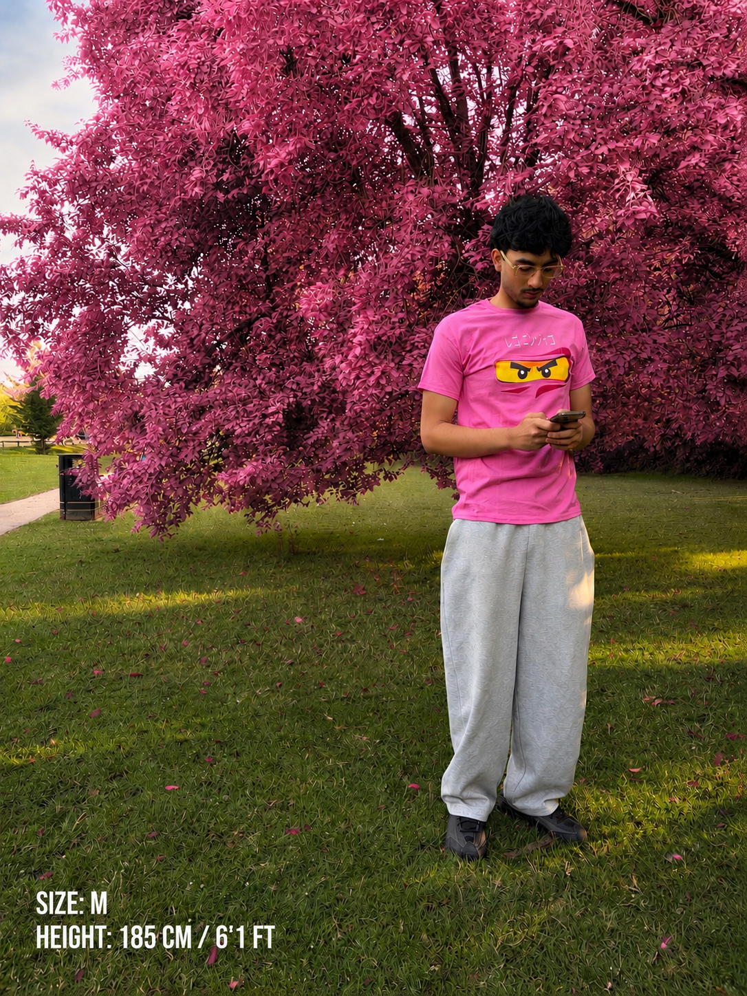 The Pink Shinobi Zane